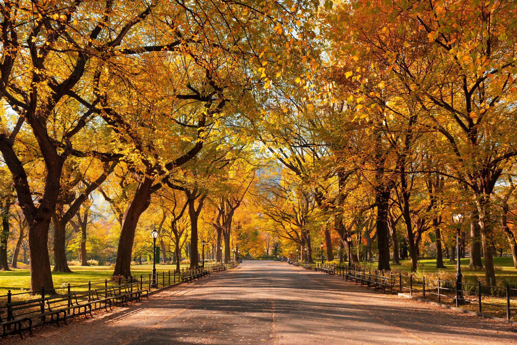 New Report: This Is the Top-Rated Tourist Attraction in the U.S.—and It’s Completely Free!