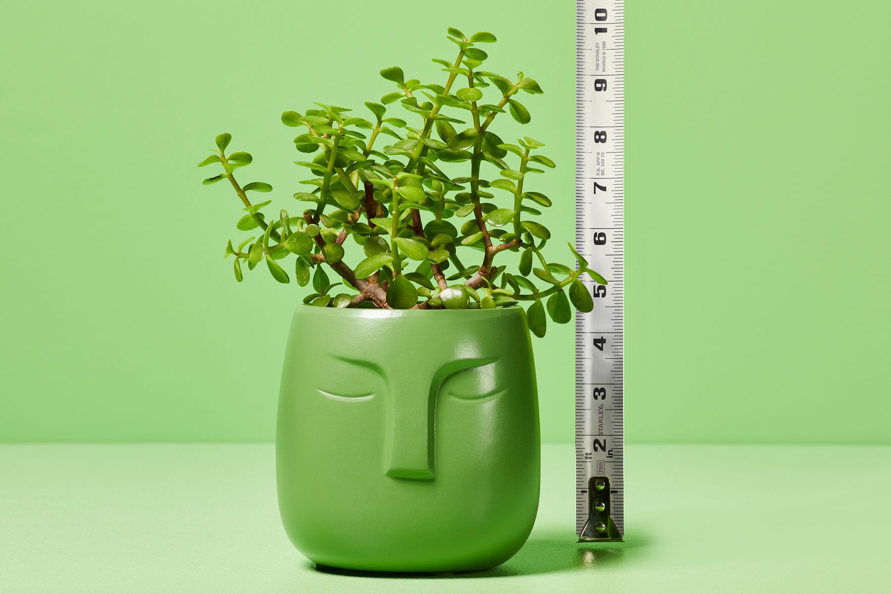 What Is IQ, and How Well Does It Predict Success?