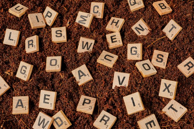 scrabble letter tiles scattered on a soil background