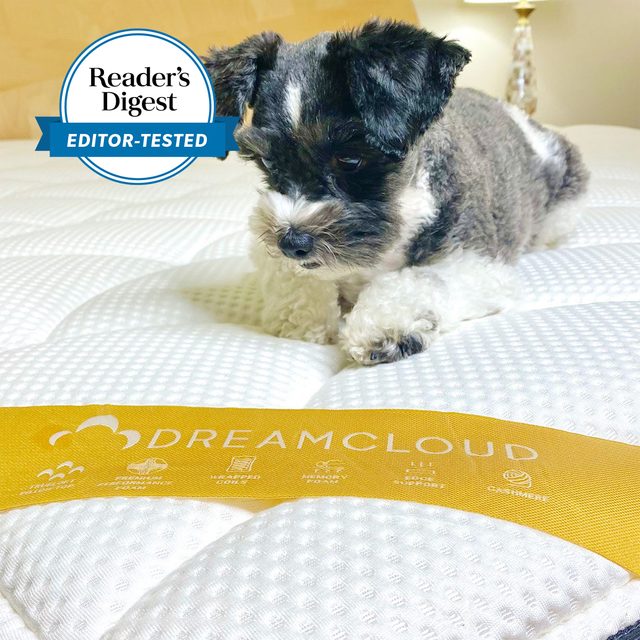 Puppy resting on a textured white mattress labeled 