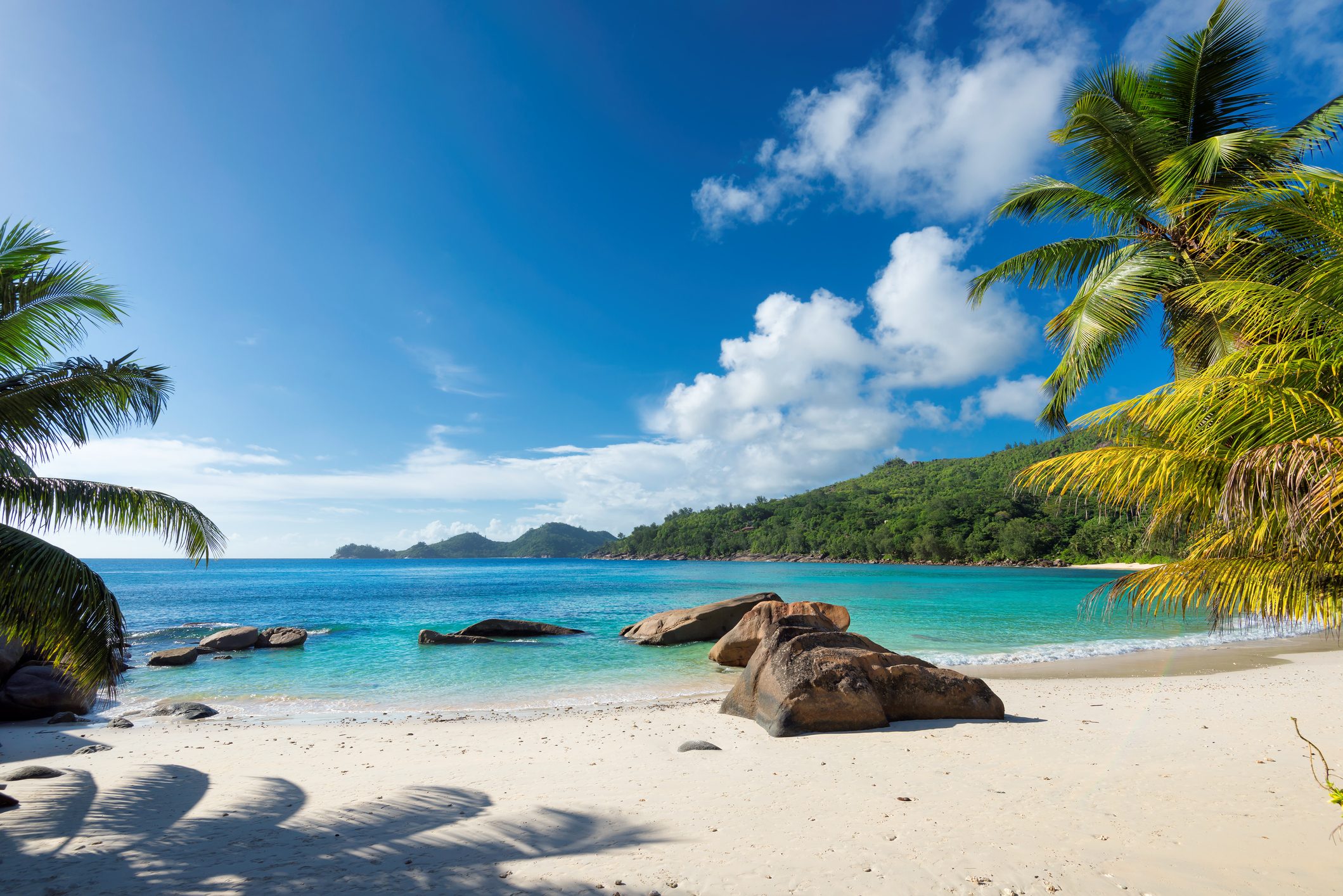 Beach with rocks sits quietly under blue sky, surrounded by turquoise water and lush green palm trees.
