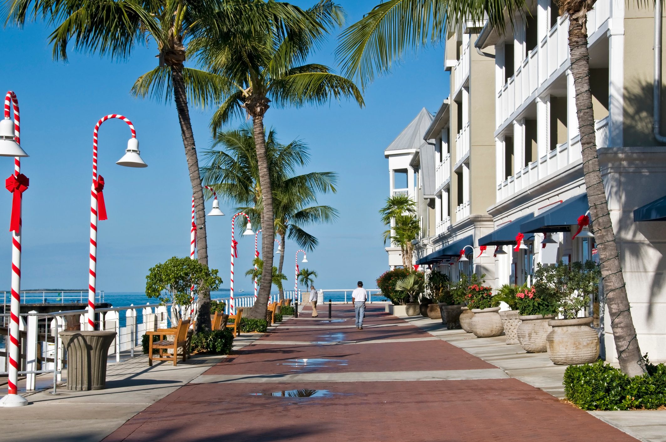 Palm trees line a waterfront promenade, adorned with candy cane-striped lampposts and red bows, beside a multi-story building and ocean views.