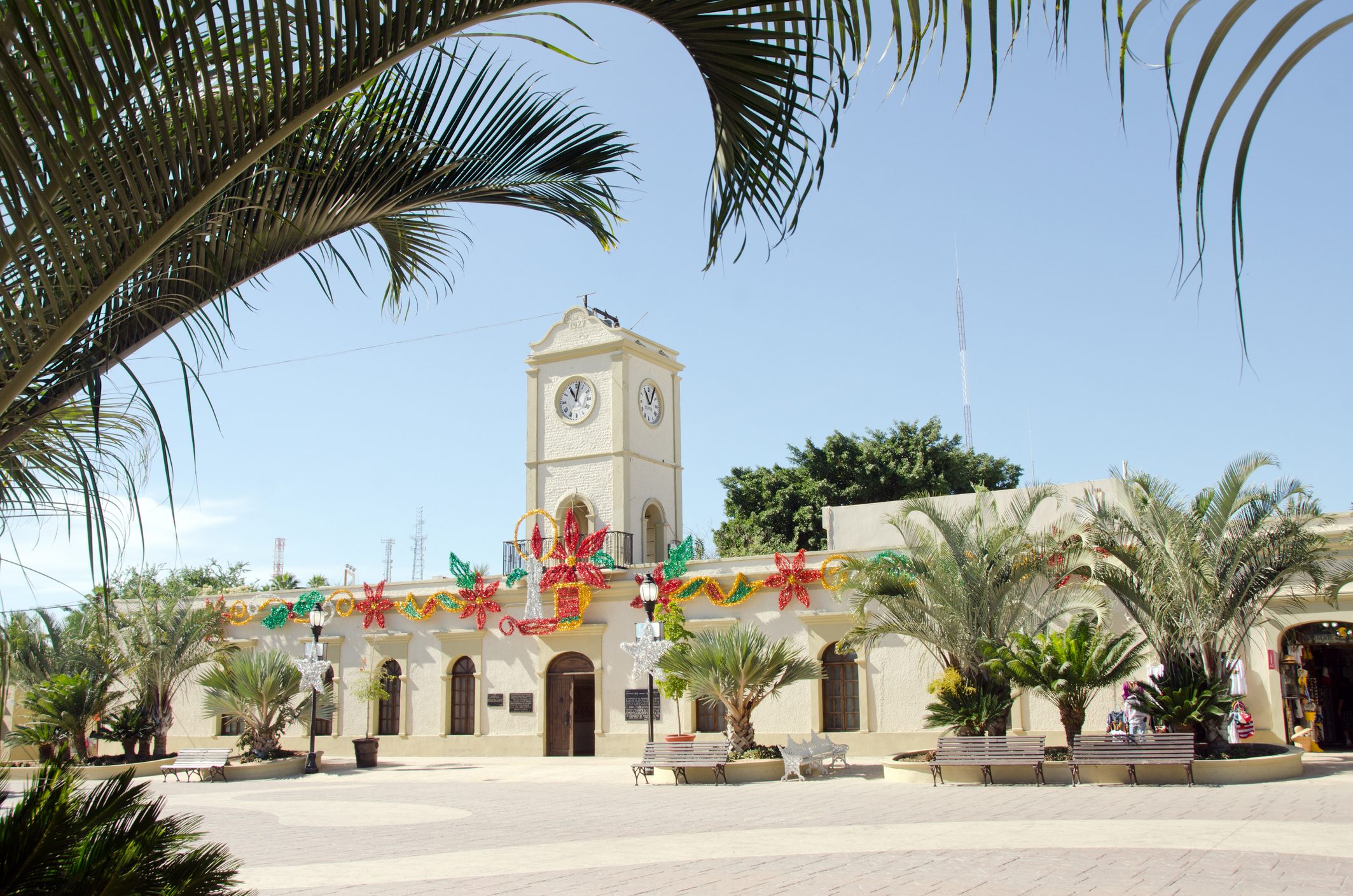 Clock tower adorned with festive decorations stands in a sunny, palm-filled plaza, surrounded by benches and greenery under a clear sky.