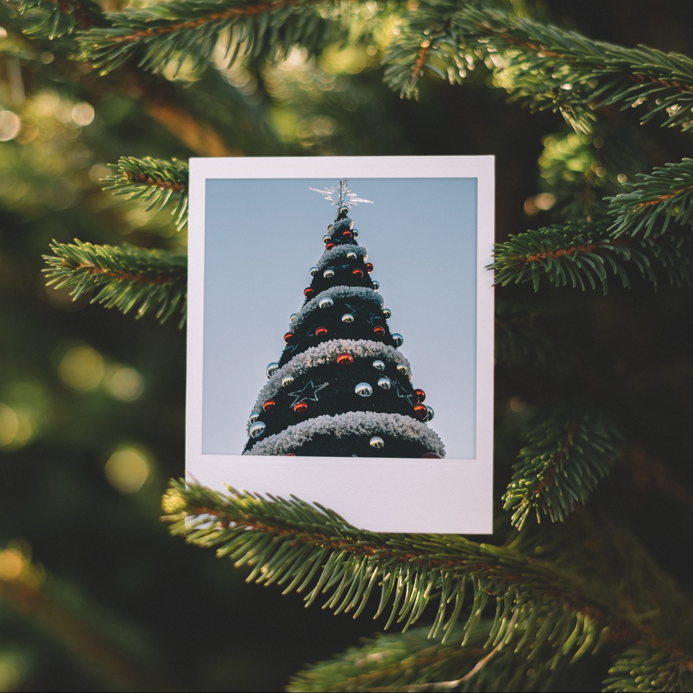 polaroid on Christmas time