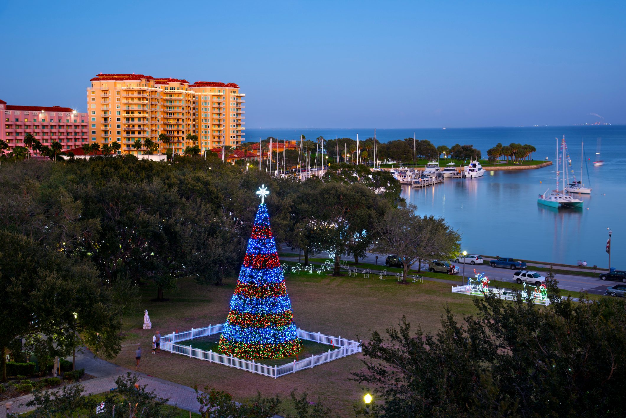 A large Christmas tree adorned with colorful lights sits in a park near a marina, surrounded by greenery and multi-story buildings in the background.