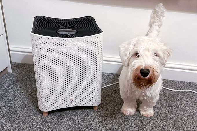 Mila Air Purifier