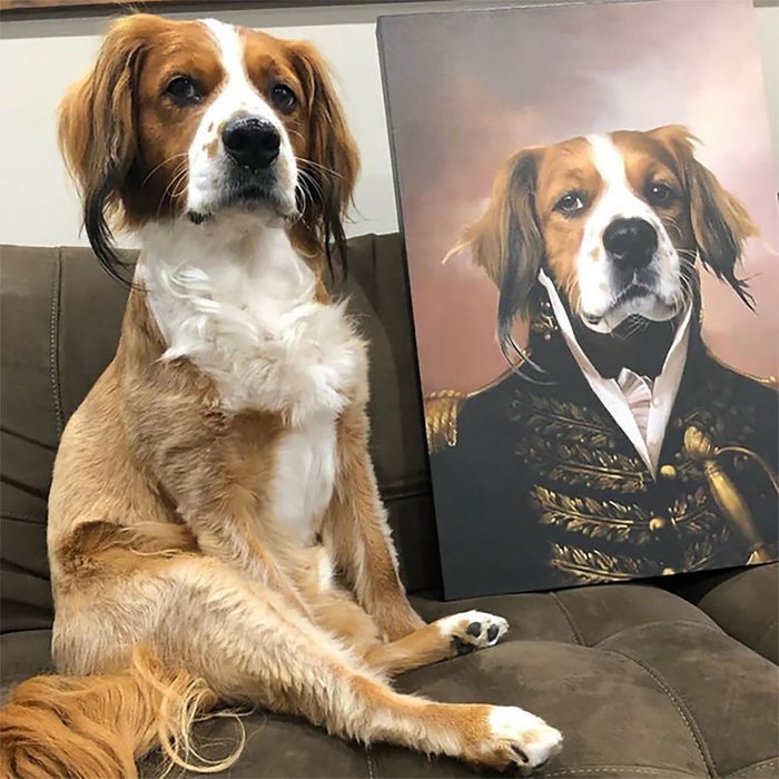 Dog sitting on a couch next to a portrait depicting it in a regal military uniform, set indoors.