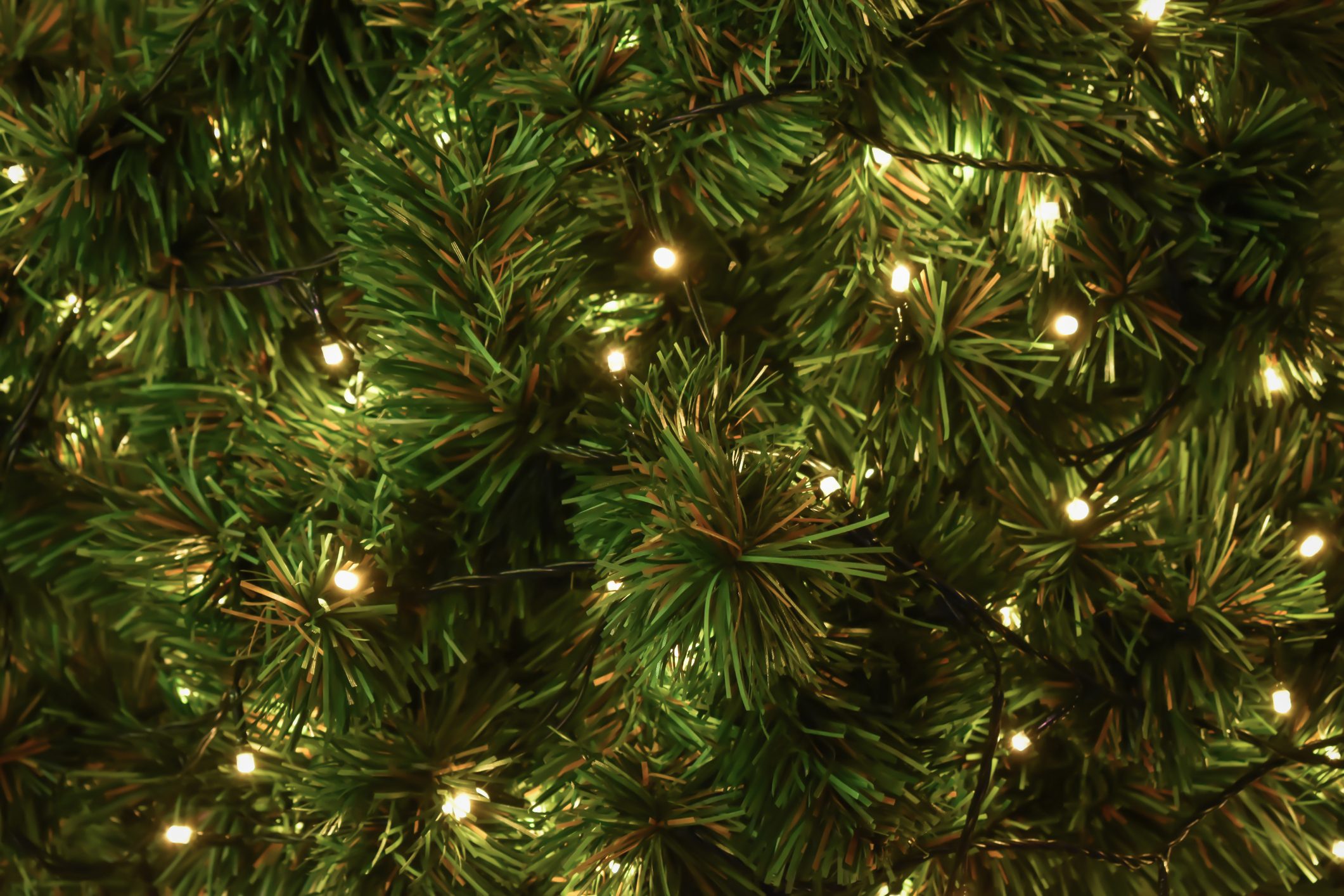Close-Up Of Illuminated Christmas Tree Decorations
