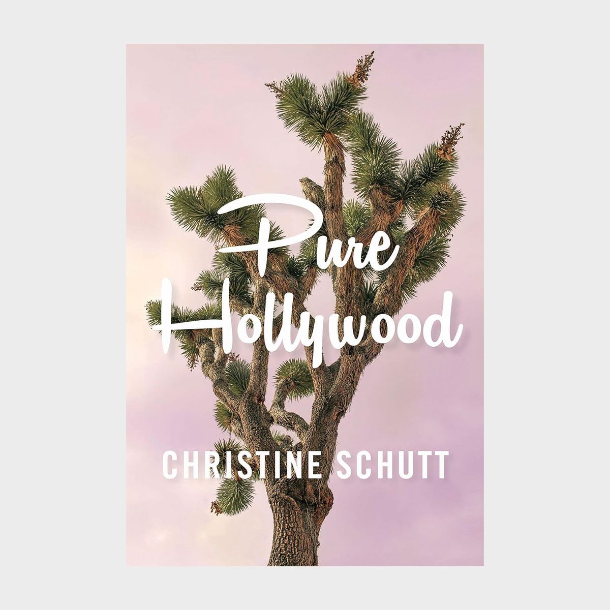 Tree stands upright; text reads "Pure Hollywood, Christine Schutt," against a soft pink and purple sky.