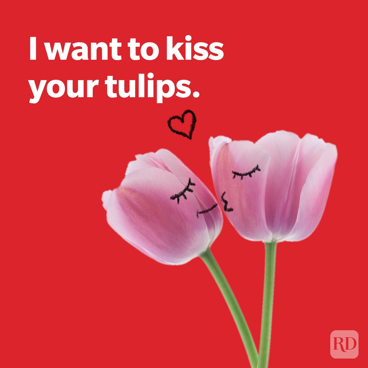 Two pink tulips appear to be kissing, with drawn eyes and lips, on a red background. Text reads: "I want to kiss your tulips."