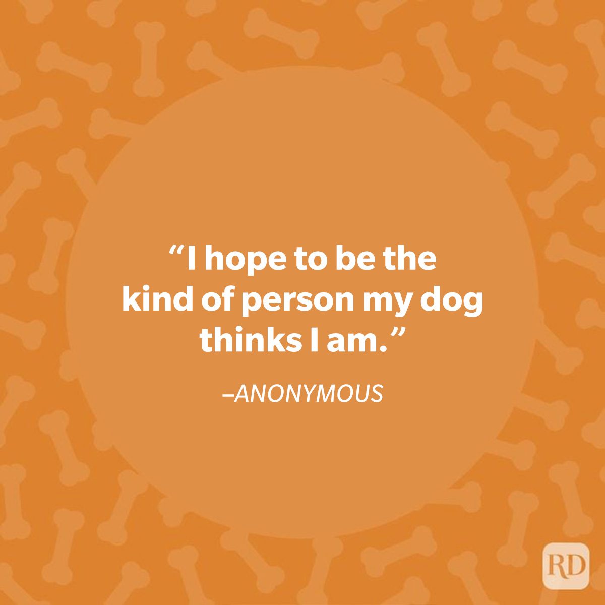 Quote appears, expressing aspiration to embody dog's perception, set against orange bone-patterned background.