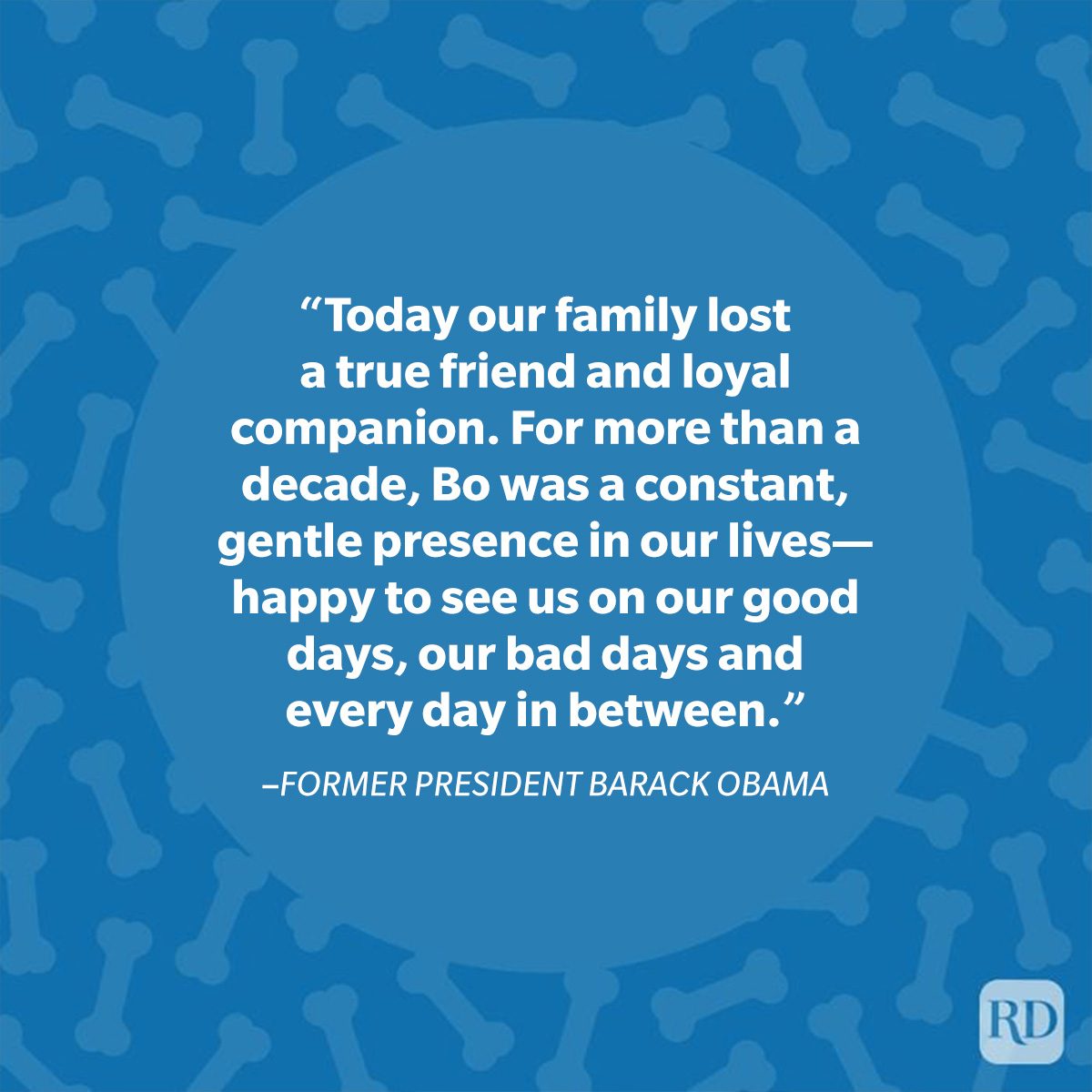 Quote text appears highlighting Bo's companionship; blue background with bone patterns enhances the sentimental message.