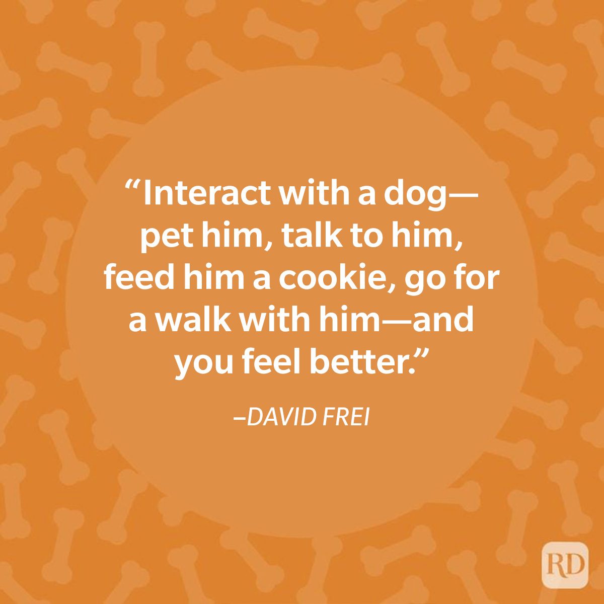 Quote about interacting with a dog, including petting, walking, feeding, on an orange background with bone patterns, author David Frei mentioned.