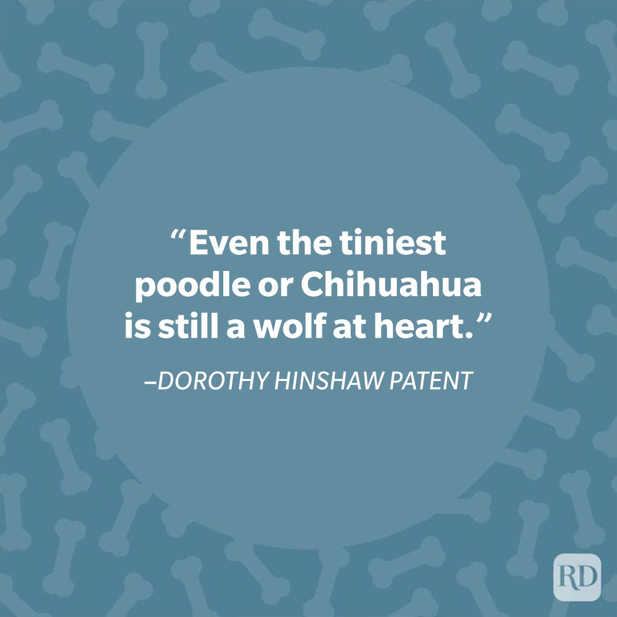 Quote reads: "Even the tiniest poodle or Chihuahua is still a wolf at heart." Background has a pattern of bones on a blue backdrop.