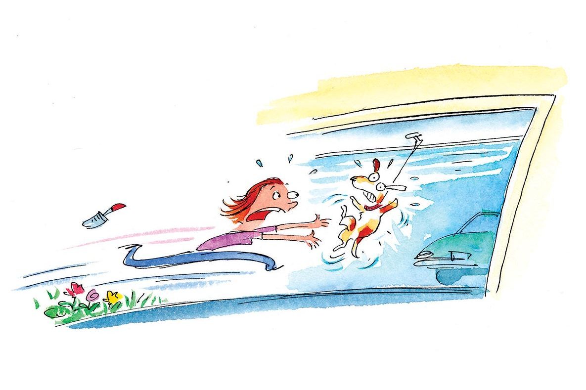 Hilarious Diy Disasters You'll Be Glad Didn't Happen To You Doggone