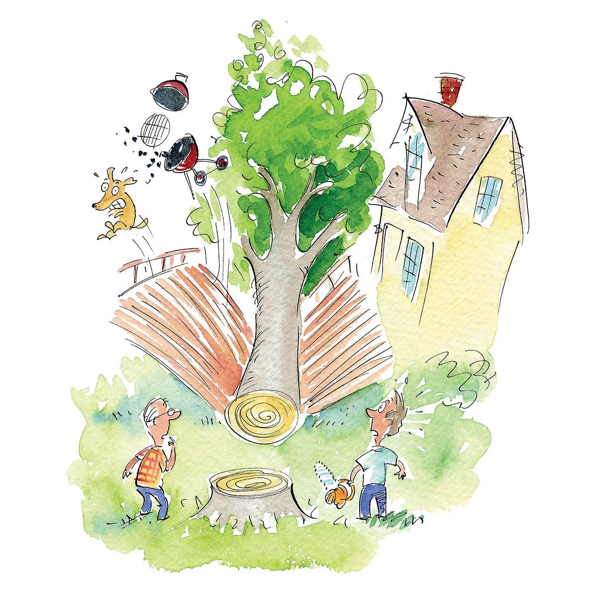 Hilarious Diy Disasters You'll Be Glad Didn't Happen To You Timber!