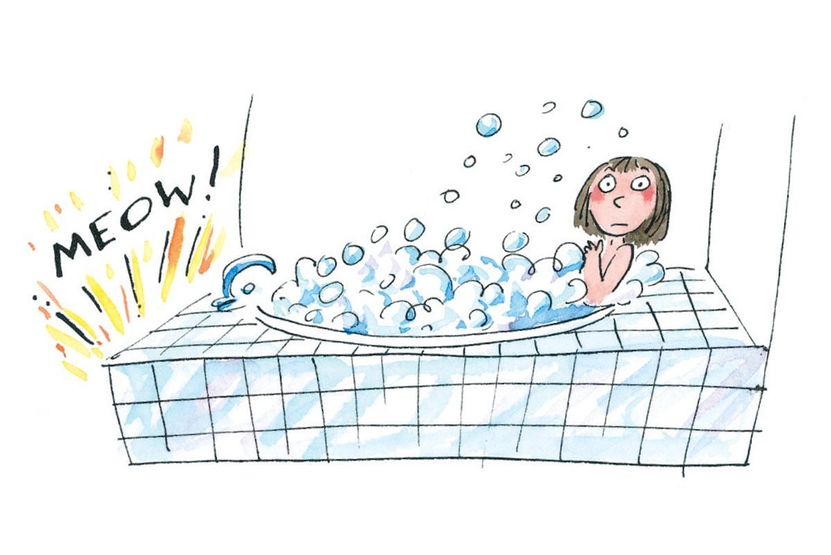 Hilarious Diy Disasters You'll Be Glad Didn't Happen To You Cat'll Call