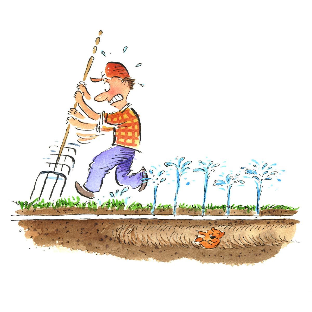 Hilarious Diy Disasters You'll Be Glad Didn't Happen To You Moles 1 Homeowner 0