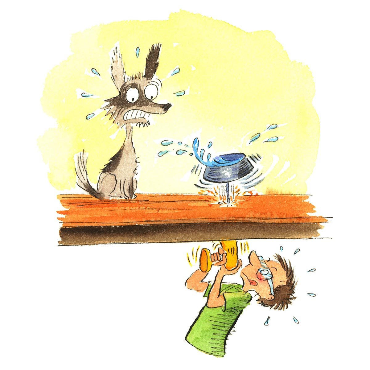 Hilarious Diy Disasters You'll Be Glad Didn't Happen To You Doggone Bad Measuring