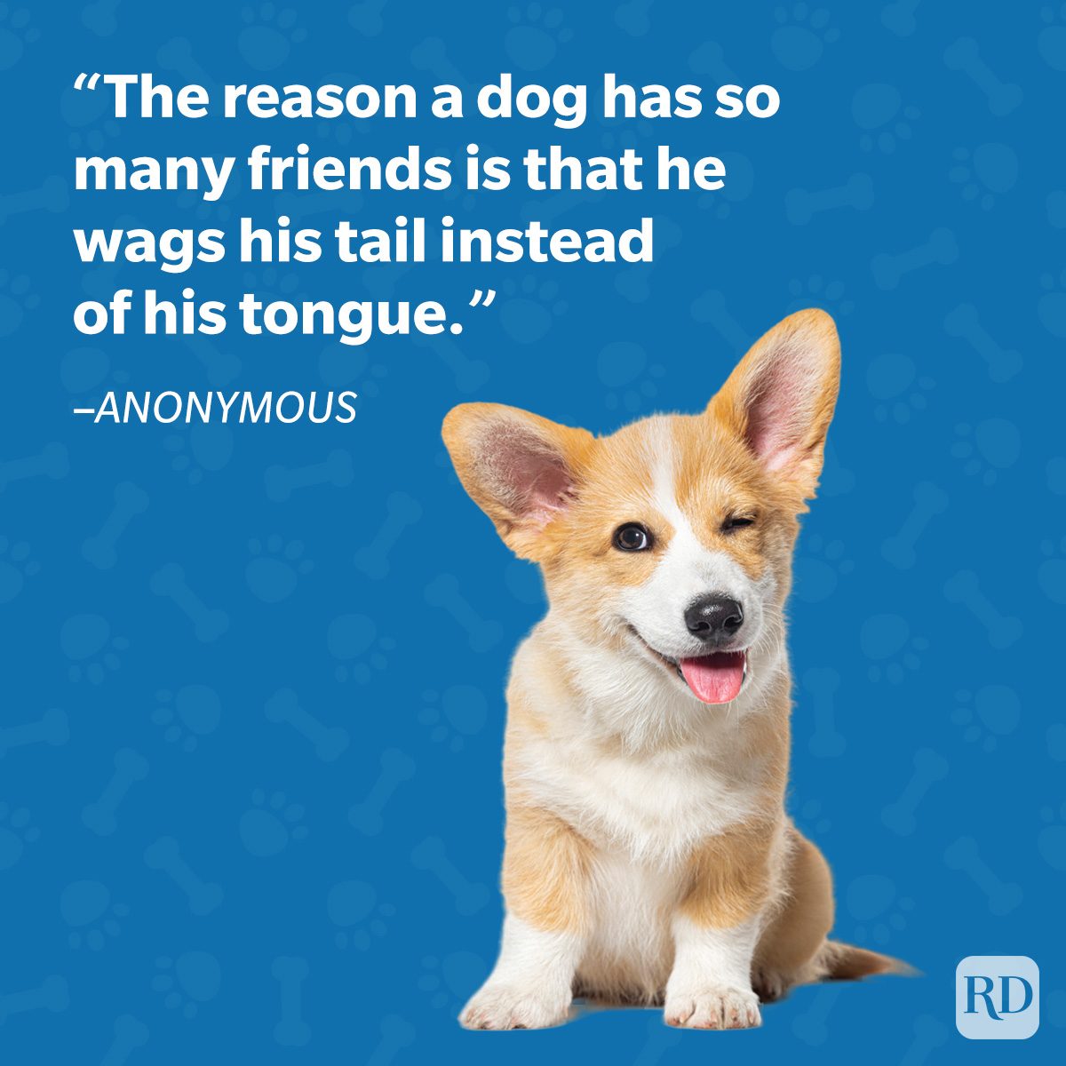 Dog winks, smiling with tongue out, against patterned blue background. Text: "The reason a dog has so many friends is he wags his tail..."