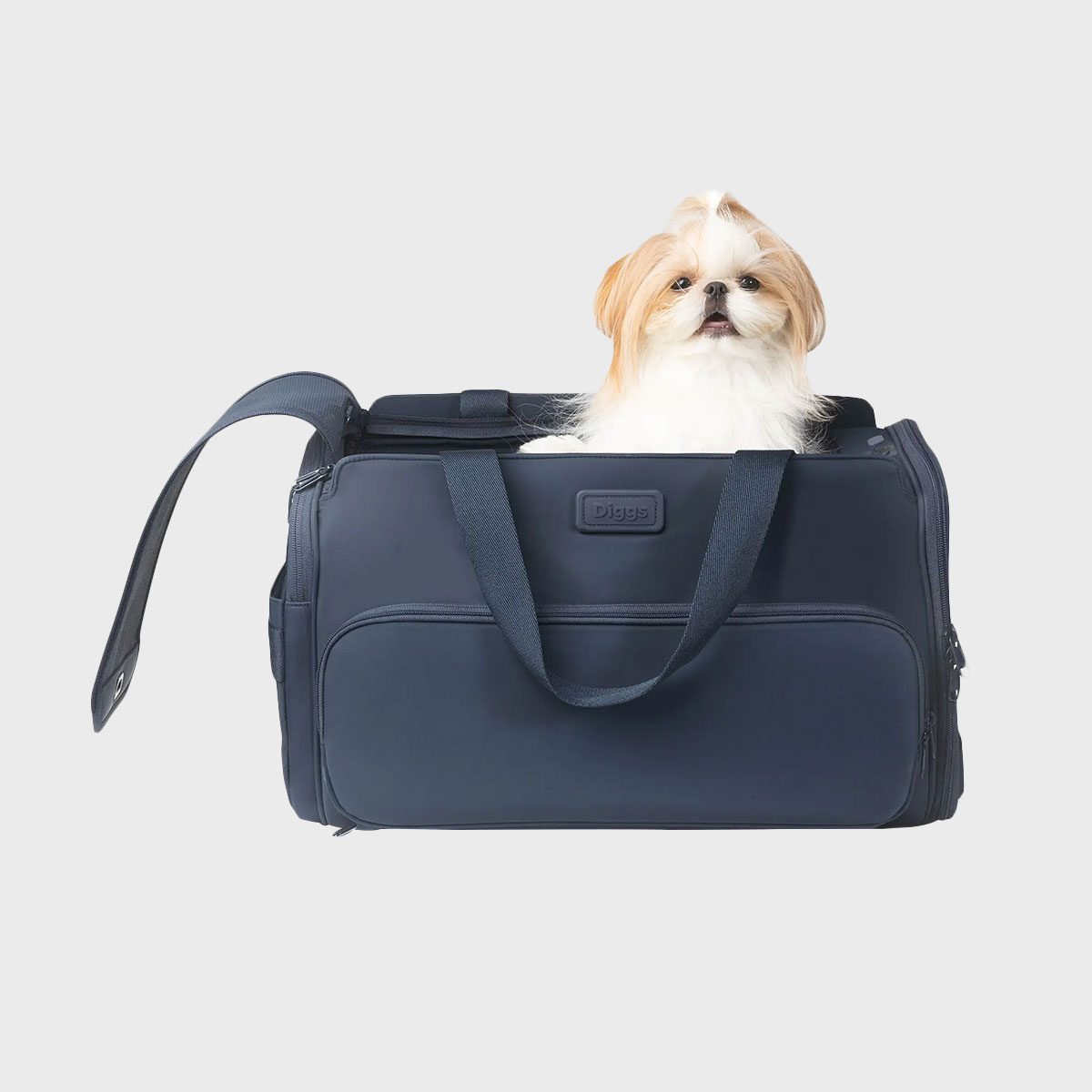 Diggs Passenger Carrier