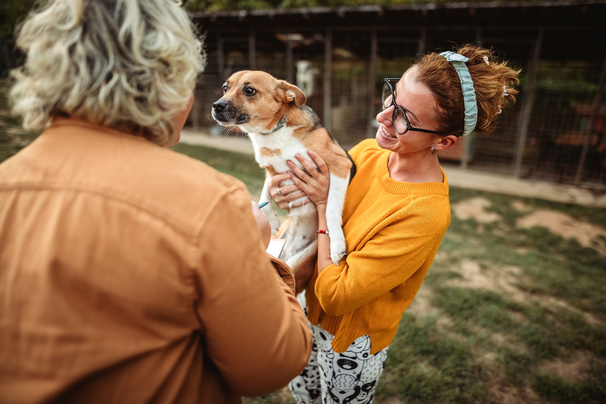Two women playing and training a dog in a dog shelter. He wants to adopt a dog.
