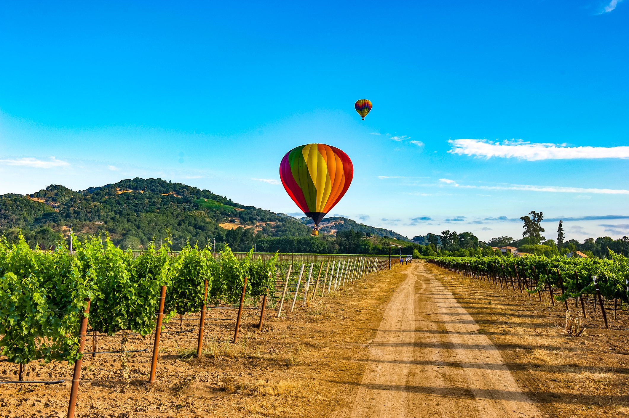 Napa Valley CA.