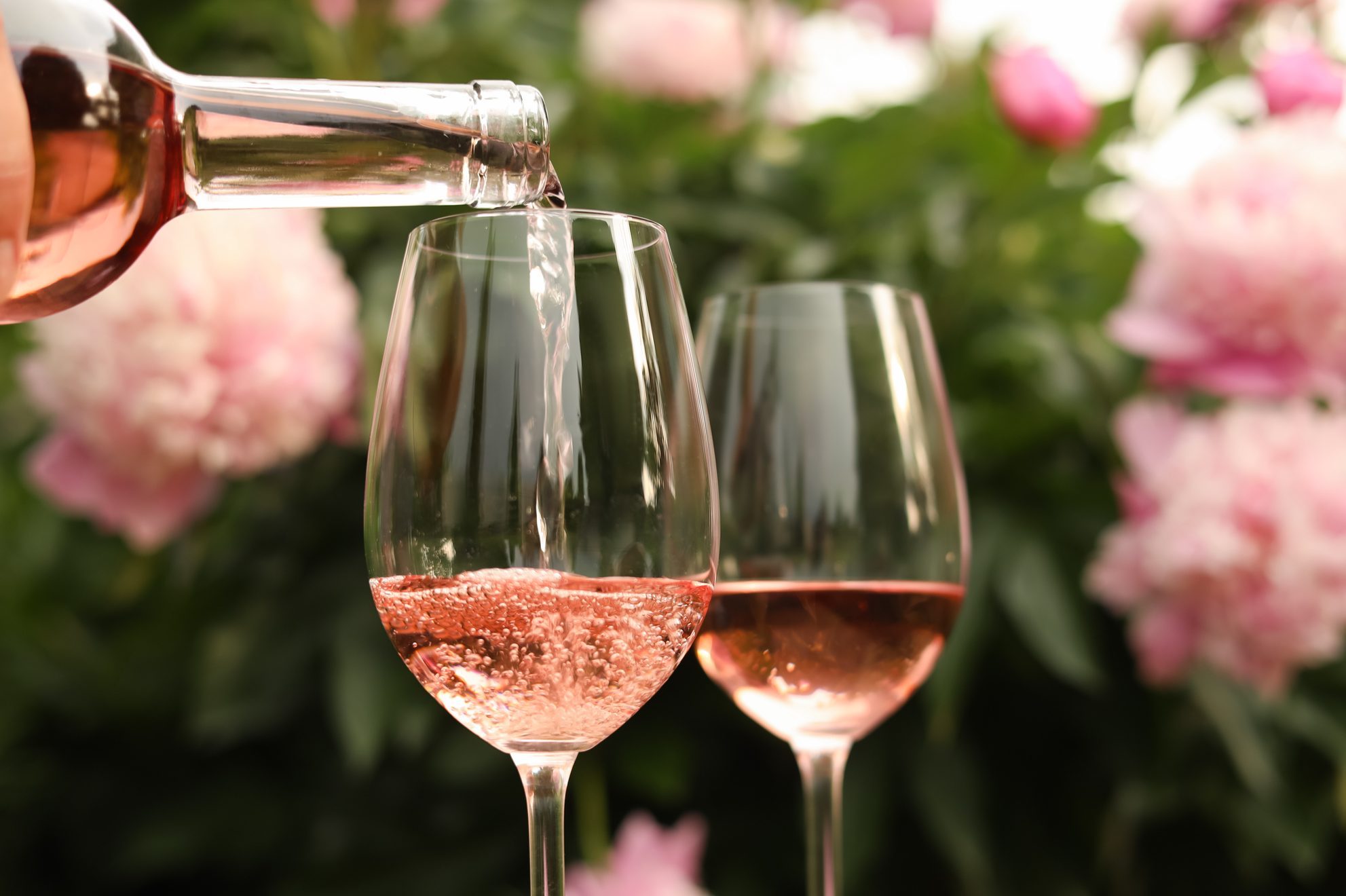 Pouring rose wine from bottle into glass against beautiful peonies, closeup