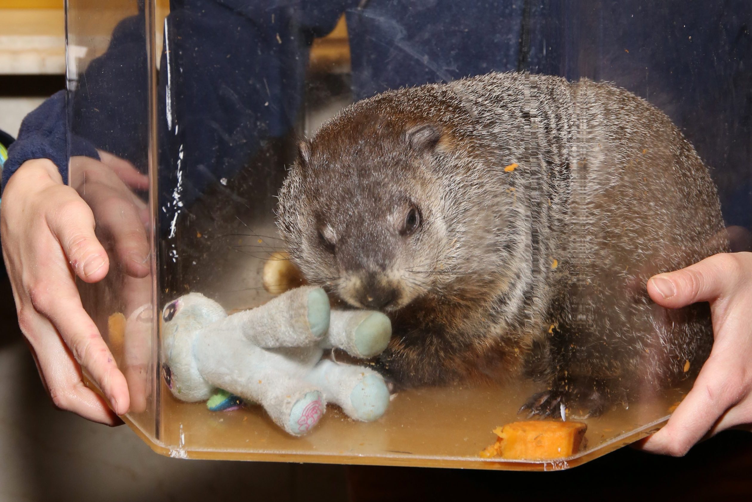 "Groundhog Day The Musical" Cast Photo Call