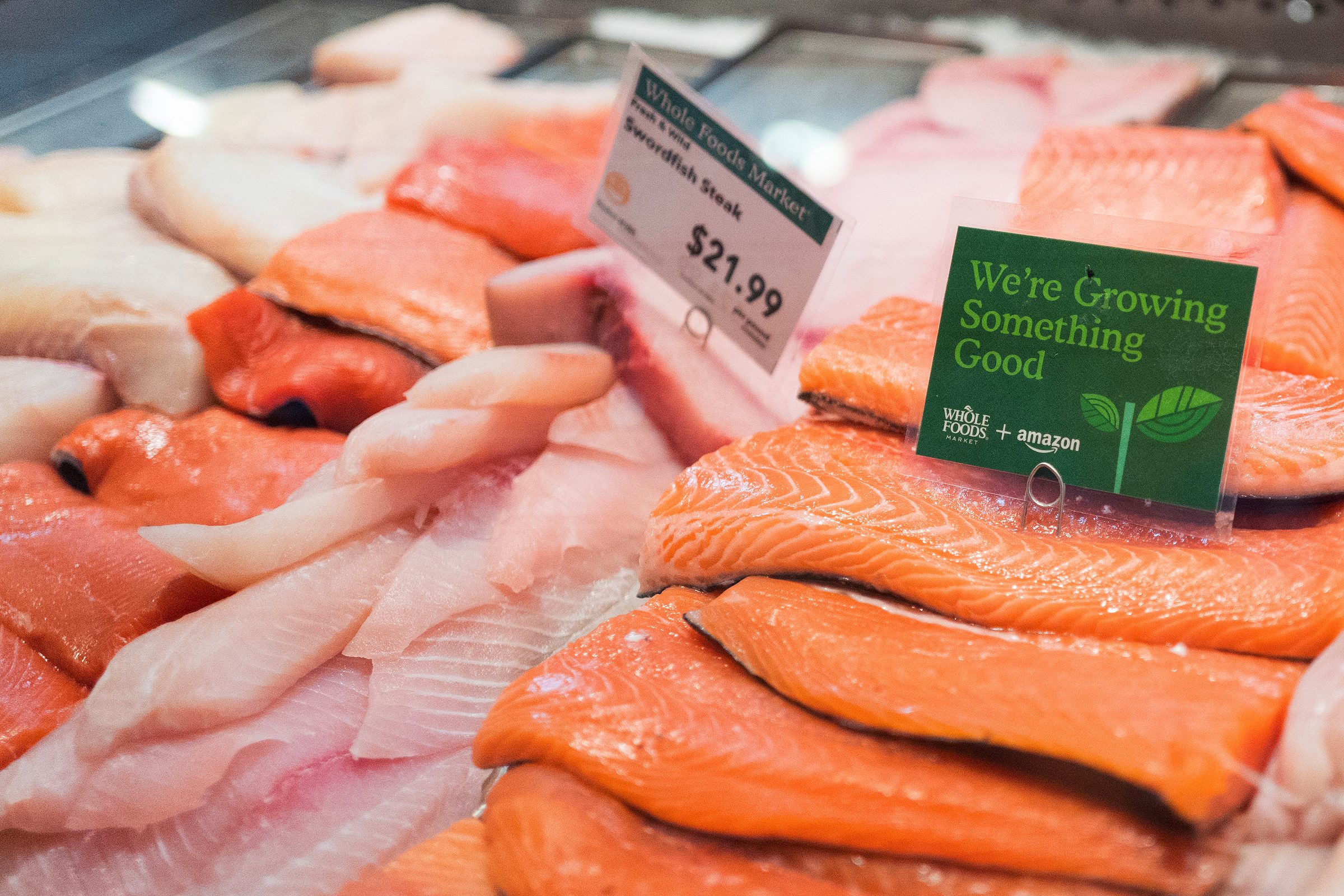 fresh fish in a cooler at whole foods