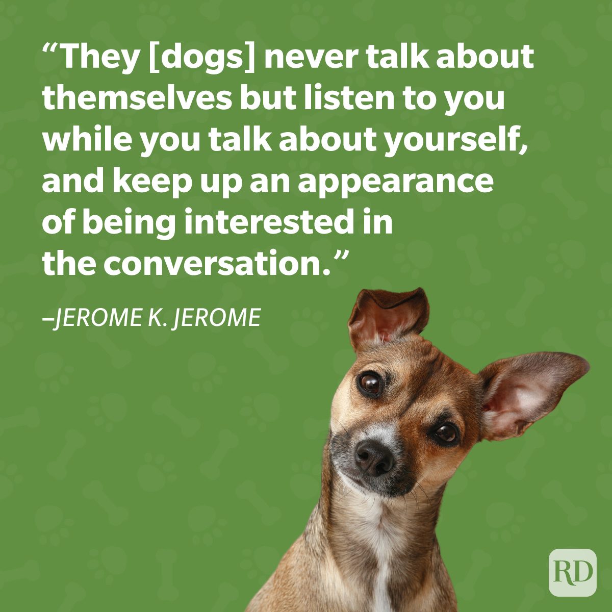 Dog tilts head, appearing attentive on a green background with a quote about dogs by Jerome K. Jerome.