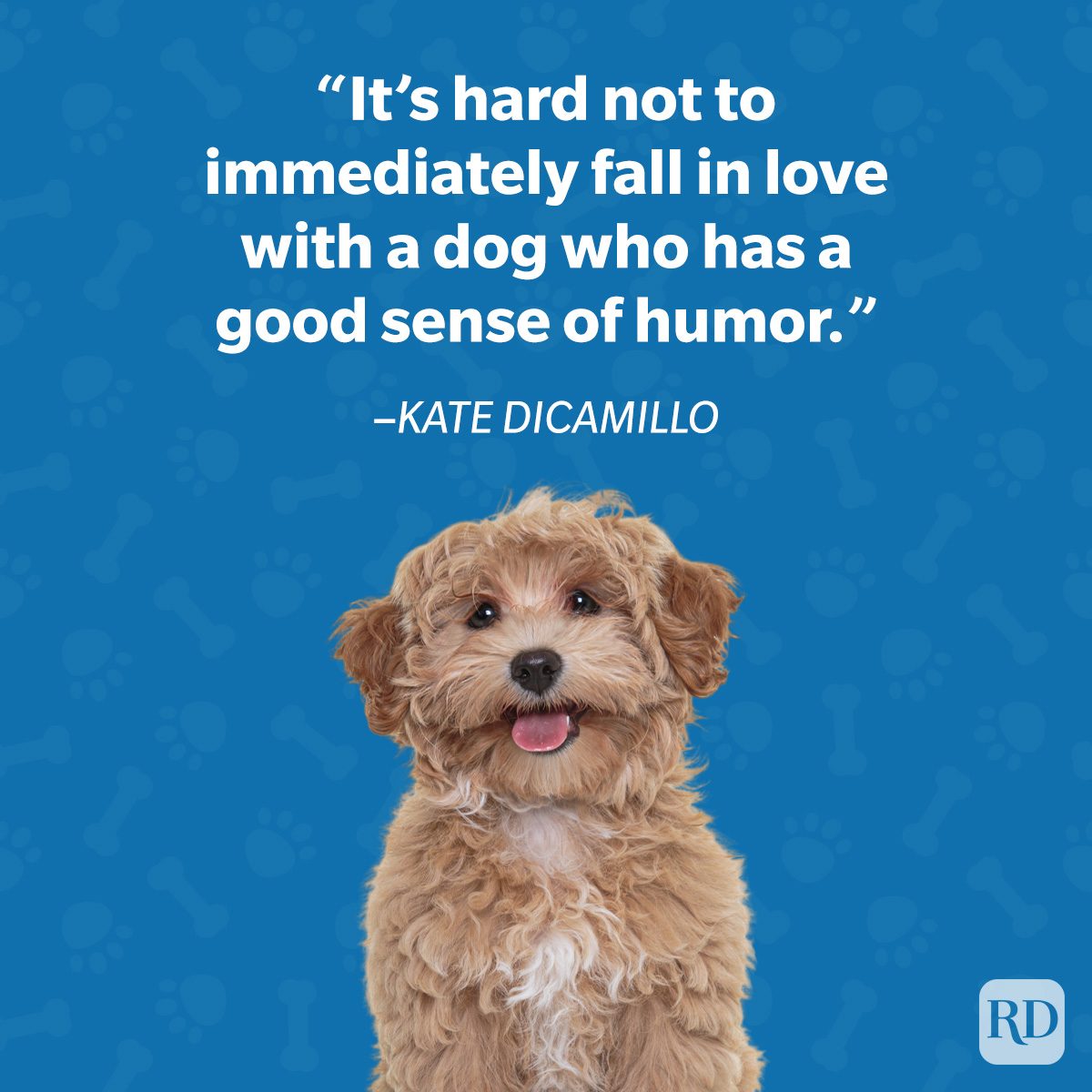 Fluffy dog sits smiling against a blue background with paw prints, featuring a quote by Kate DiCamillo about dogs' sense of humor.