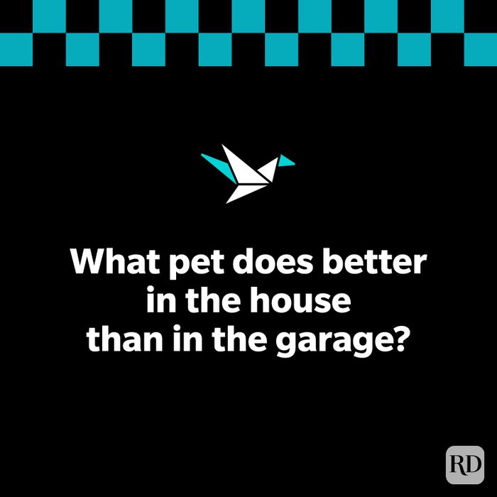 27 Dark Riddles That Challenge Your Morbid Curiosity 21 Graphic
