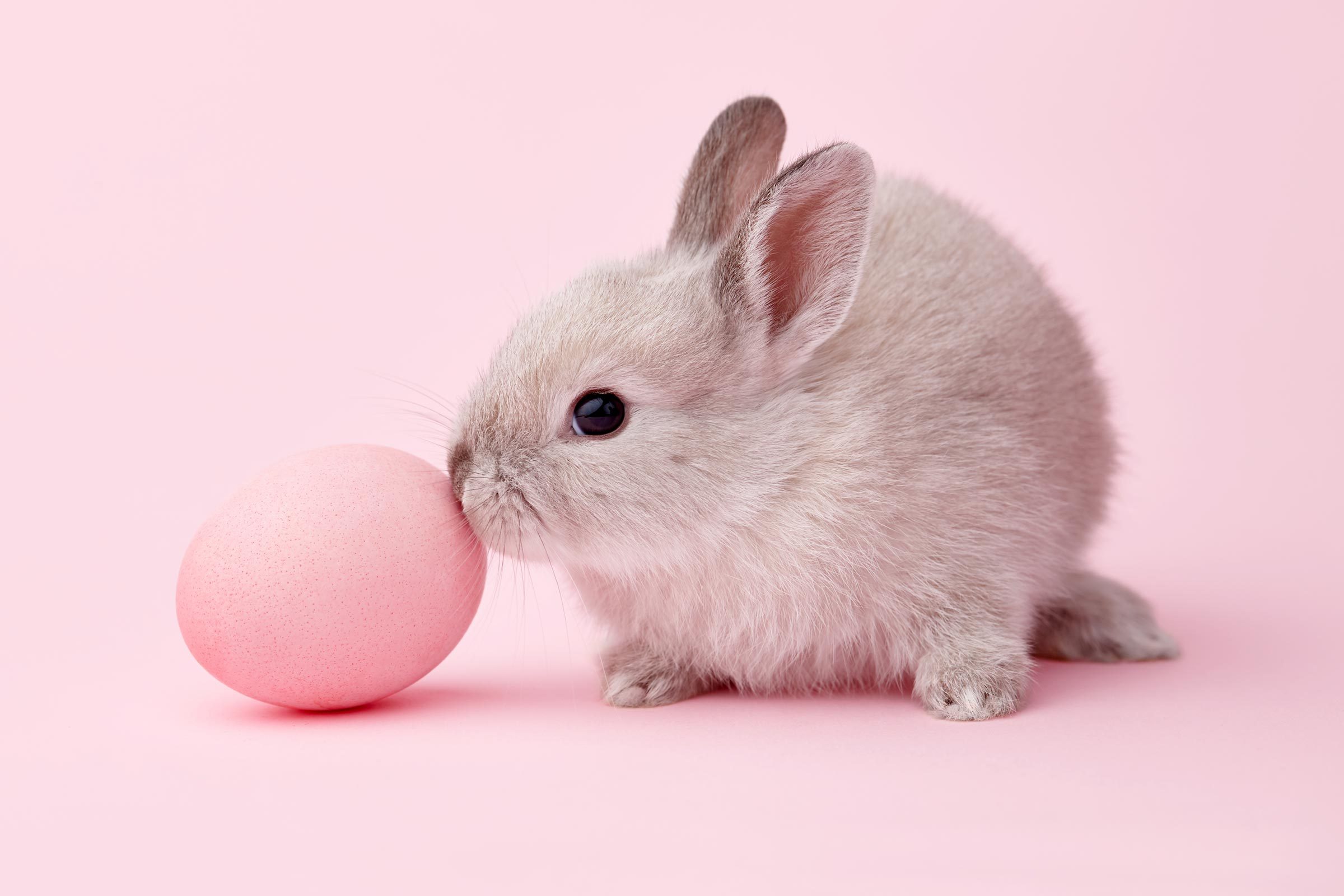 Gettyimages 1125755563 Light Pink Easter Colors Jvedit