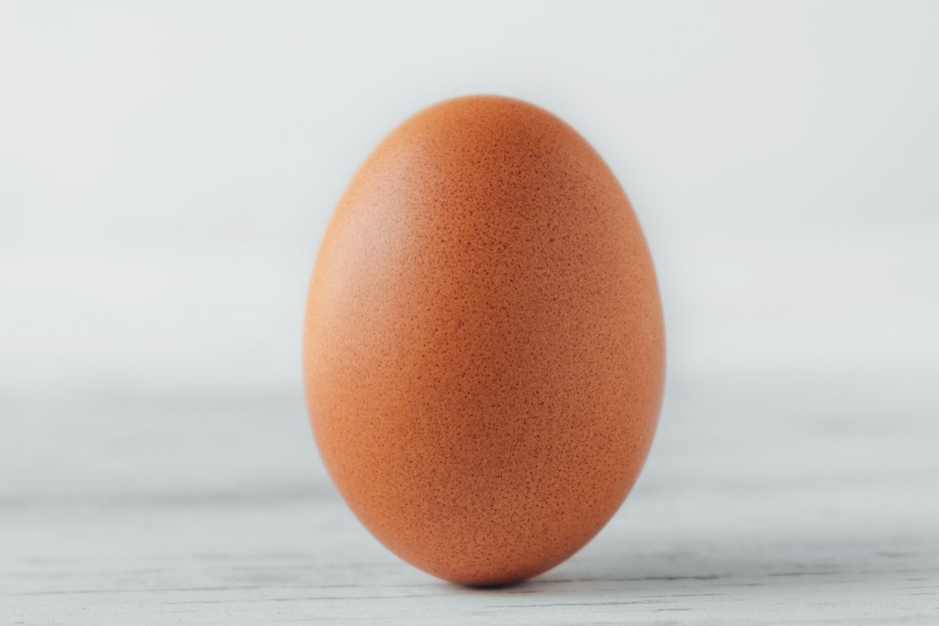 A brown egg stands upright on a light, softly textured surface with a plain white background.