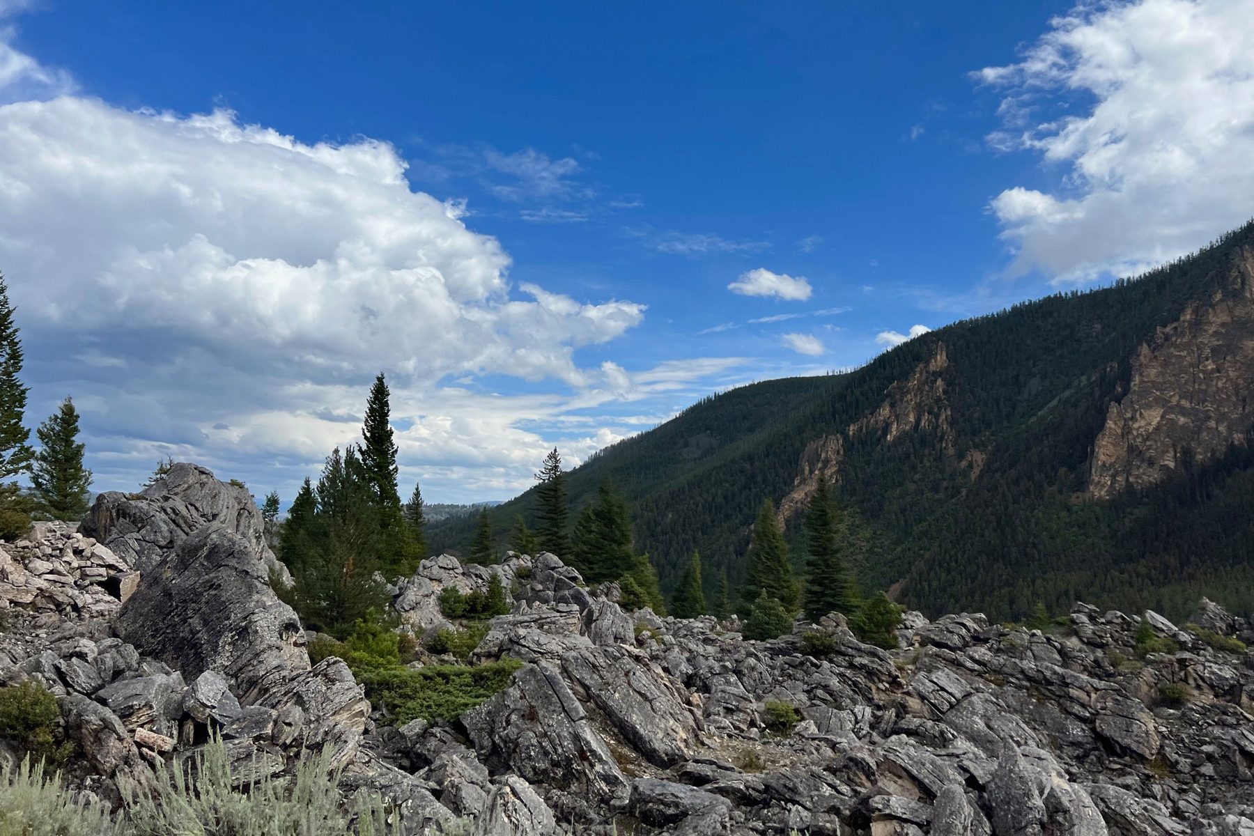 A beautiful landsacpe view of yellowstone national park