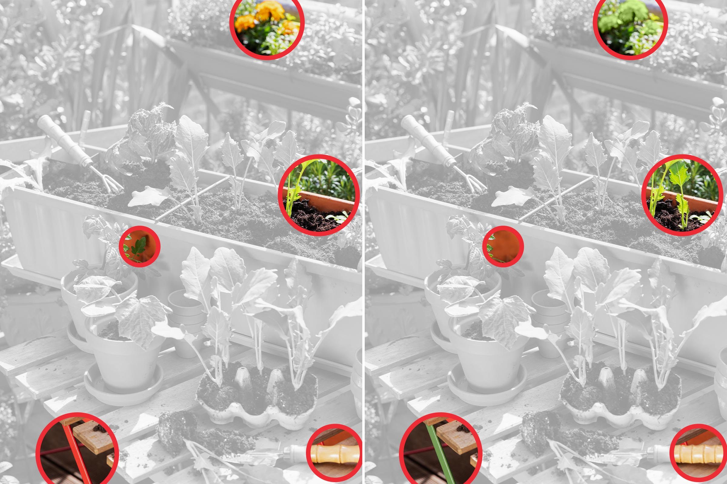 Spot The Difference 17 Gettyimages 1450561018 Key