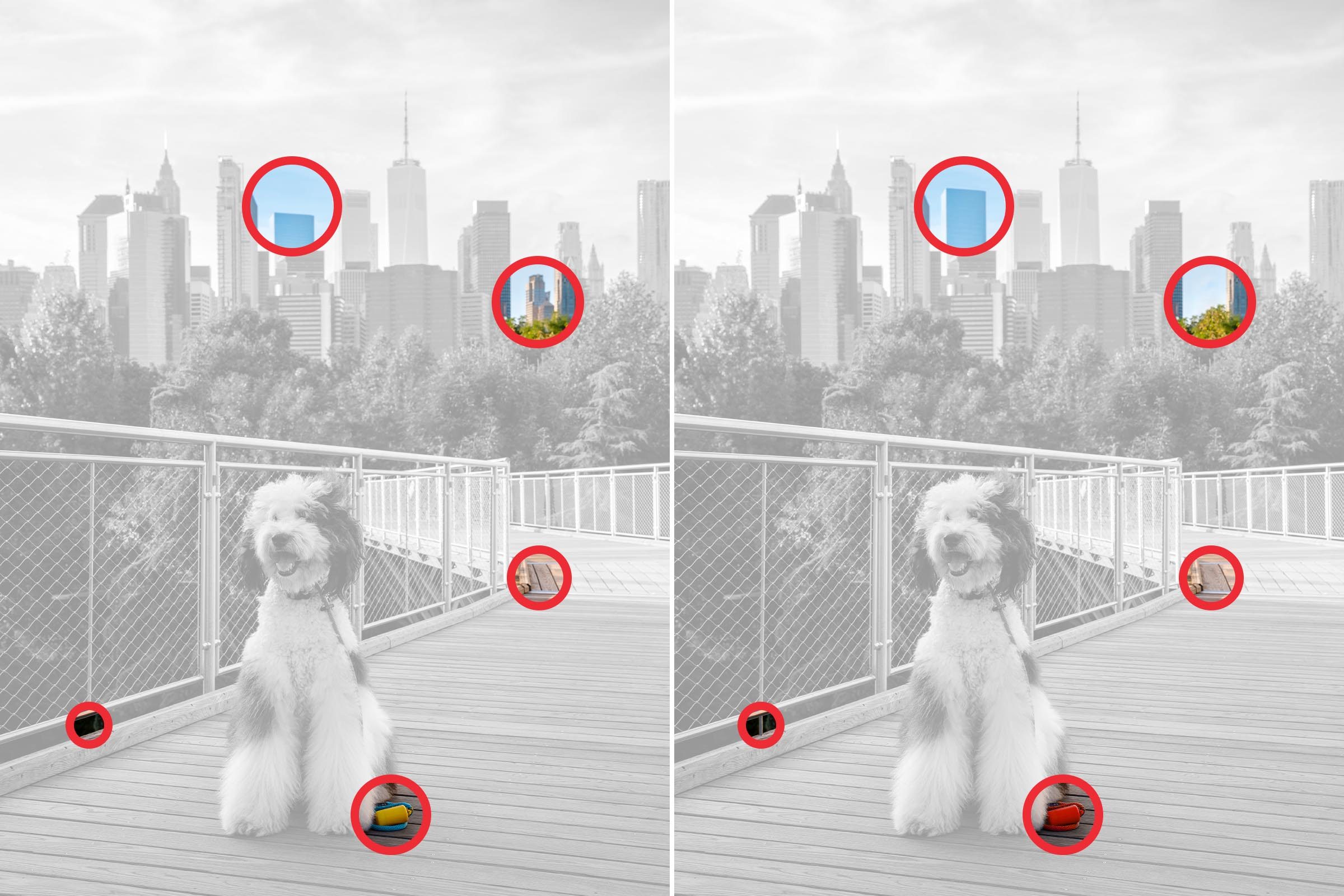 Spot The Difference 18 Gettyimages 1732045719 Key