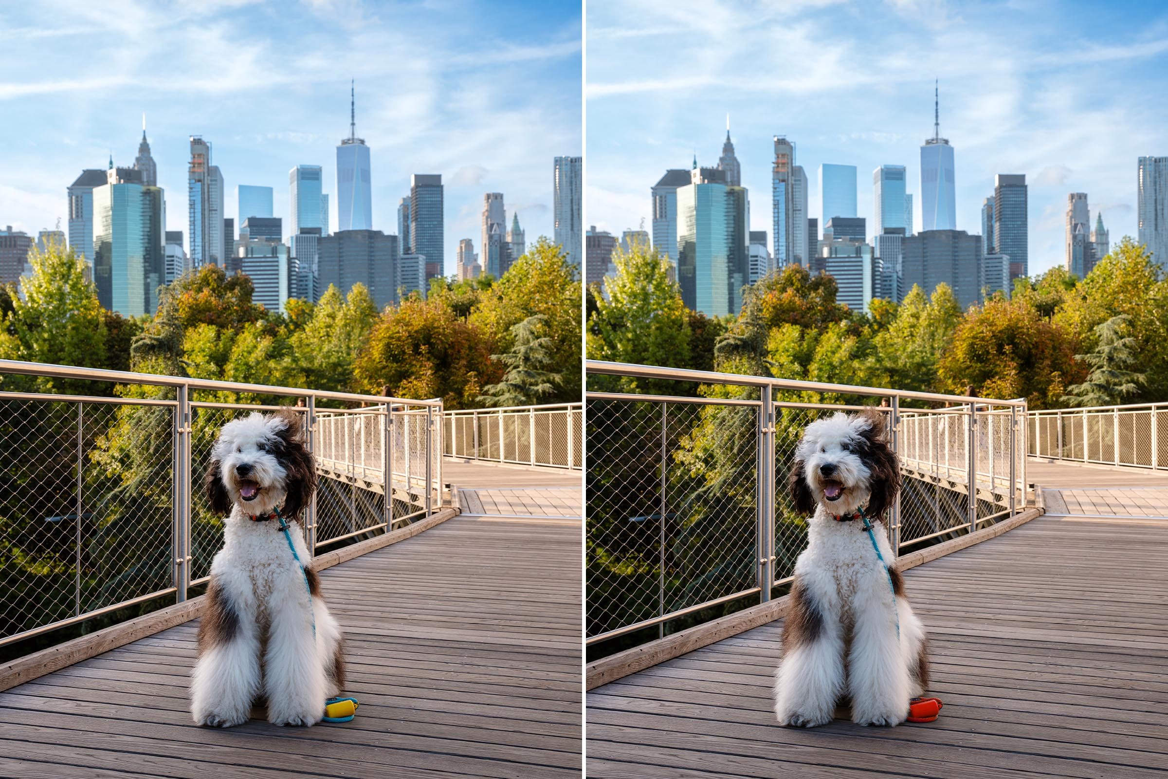 Spot The Difference 18 Gettyimages 1732045719