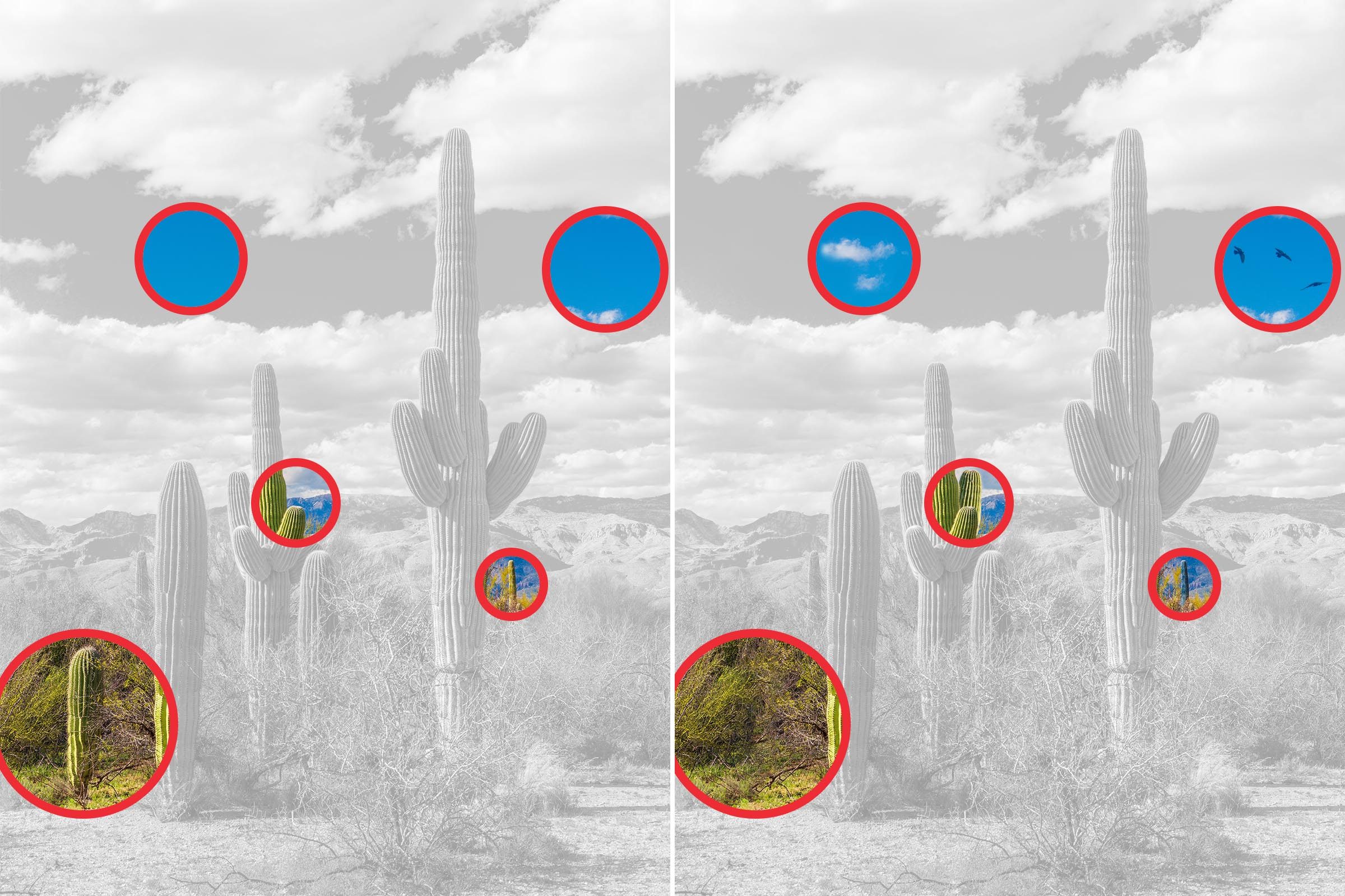 Spot The Difference 19 Gettyimages 1868494556 Key