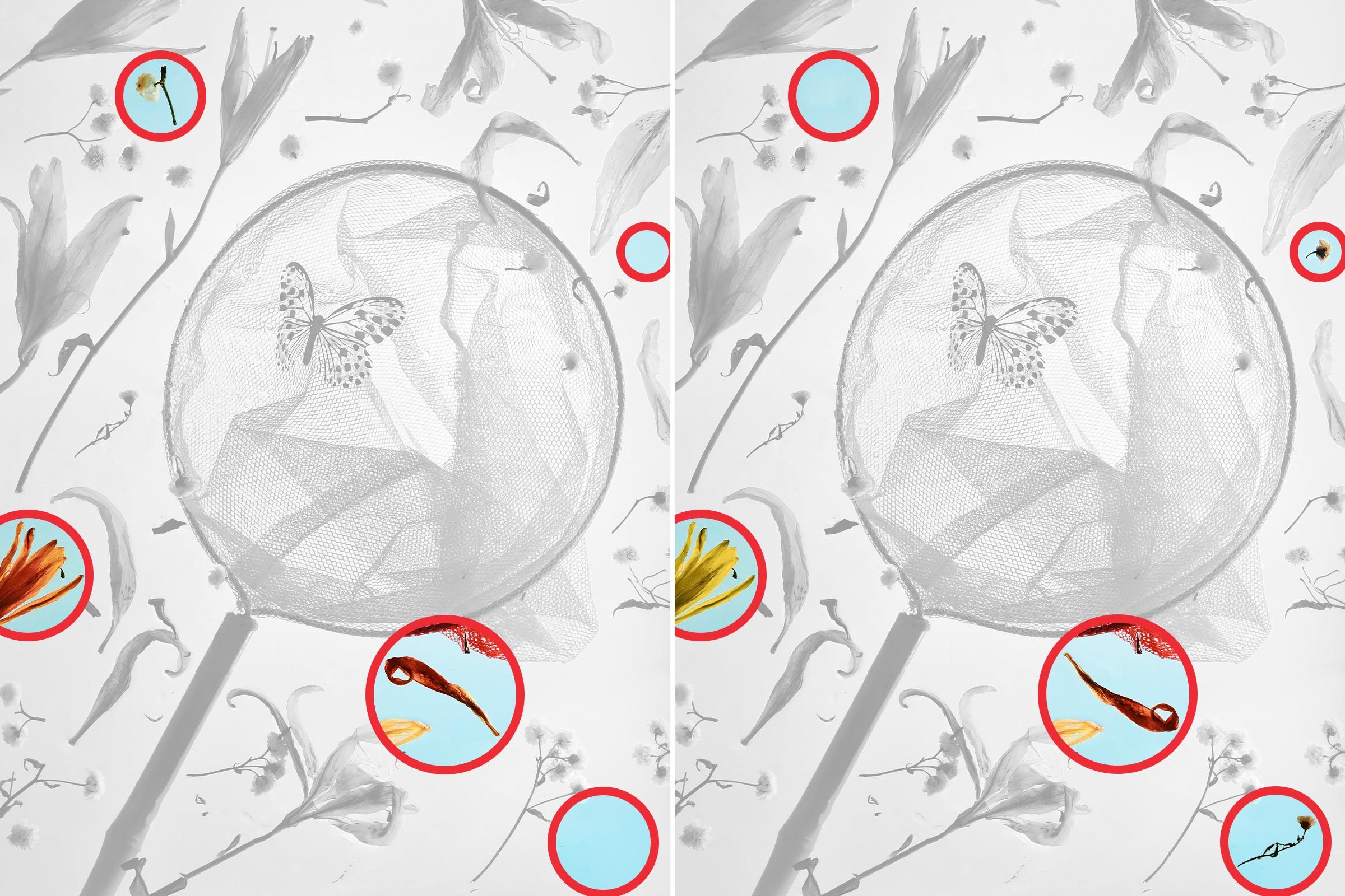 Spot The Difference 20 Gettyimages 1928387283 Key