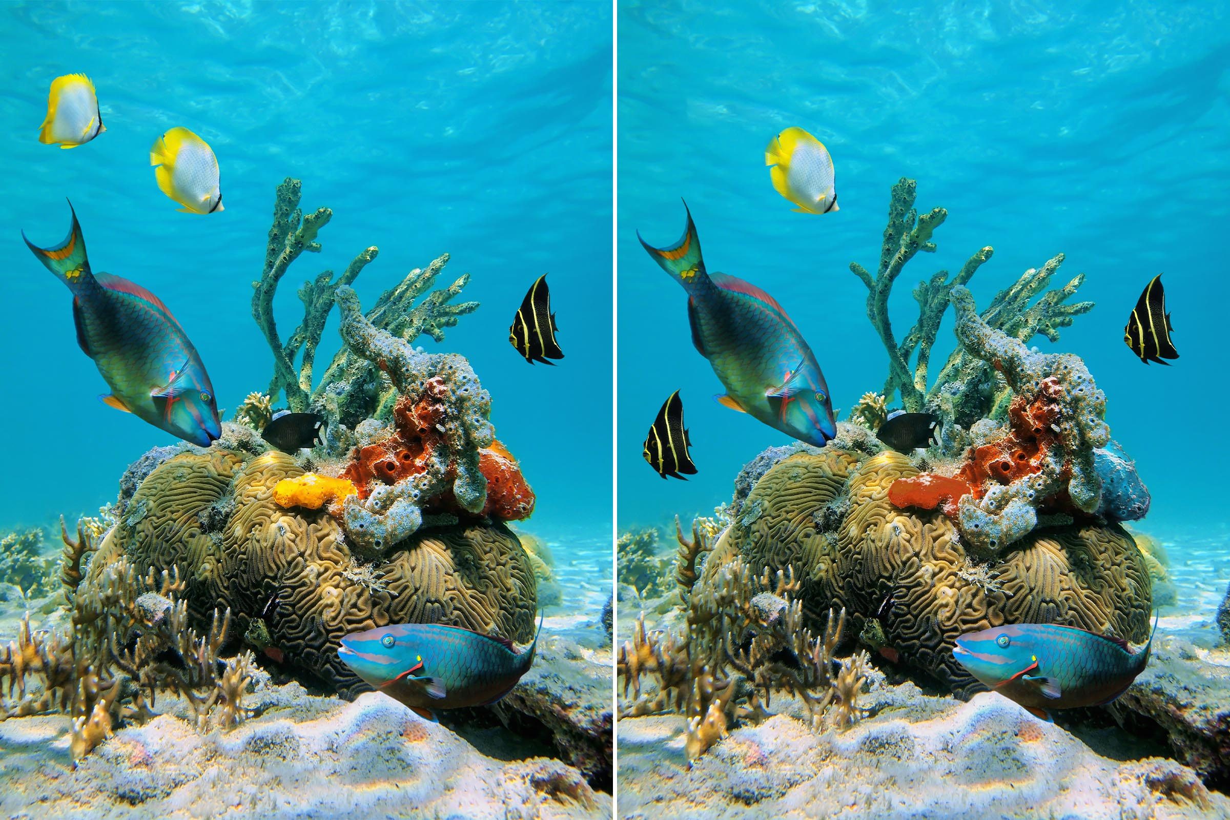 Spot The Difference 6 Gettyimages 862620948