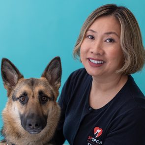 A German Shepherd sits beside a smiling person wearing a dark SF SPCA sweater, set against a plain teal background.