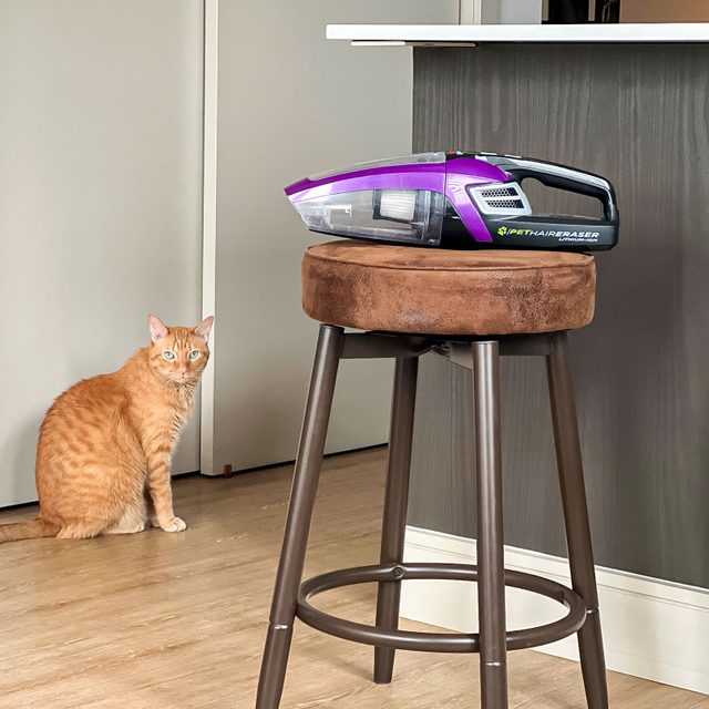 Vacuum rests on stool, unplugged, indoors; cat watches from floor near wall.