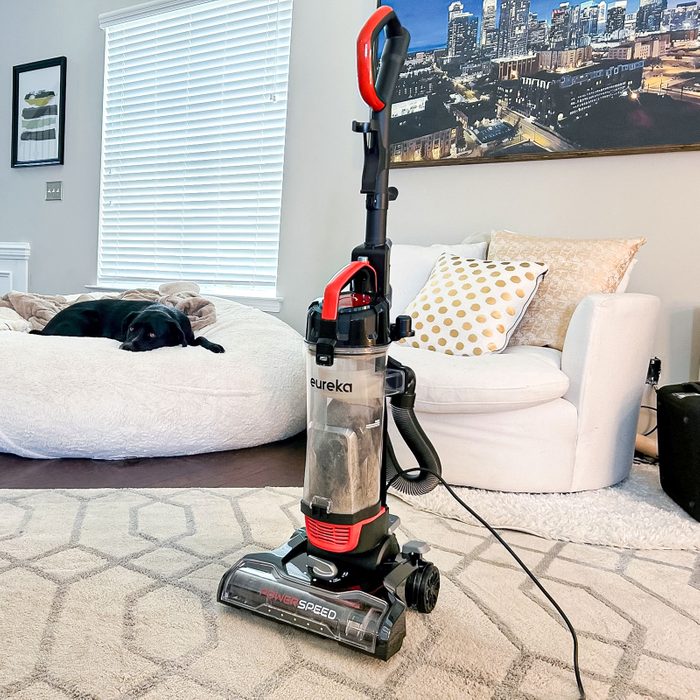 Vacuum cleaner stands idle on a carpet in a cozy living room; a dog rests on a nearby cushioned bed.