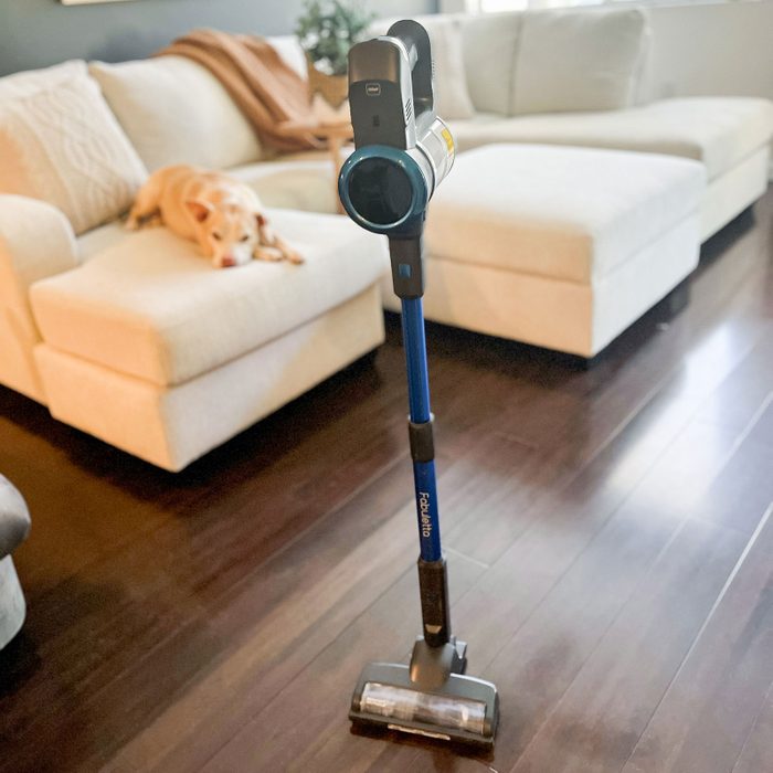 A stick vacuum stands upright on wooden floor; a dog rests on a cream-colored sofa in a cozy living room.