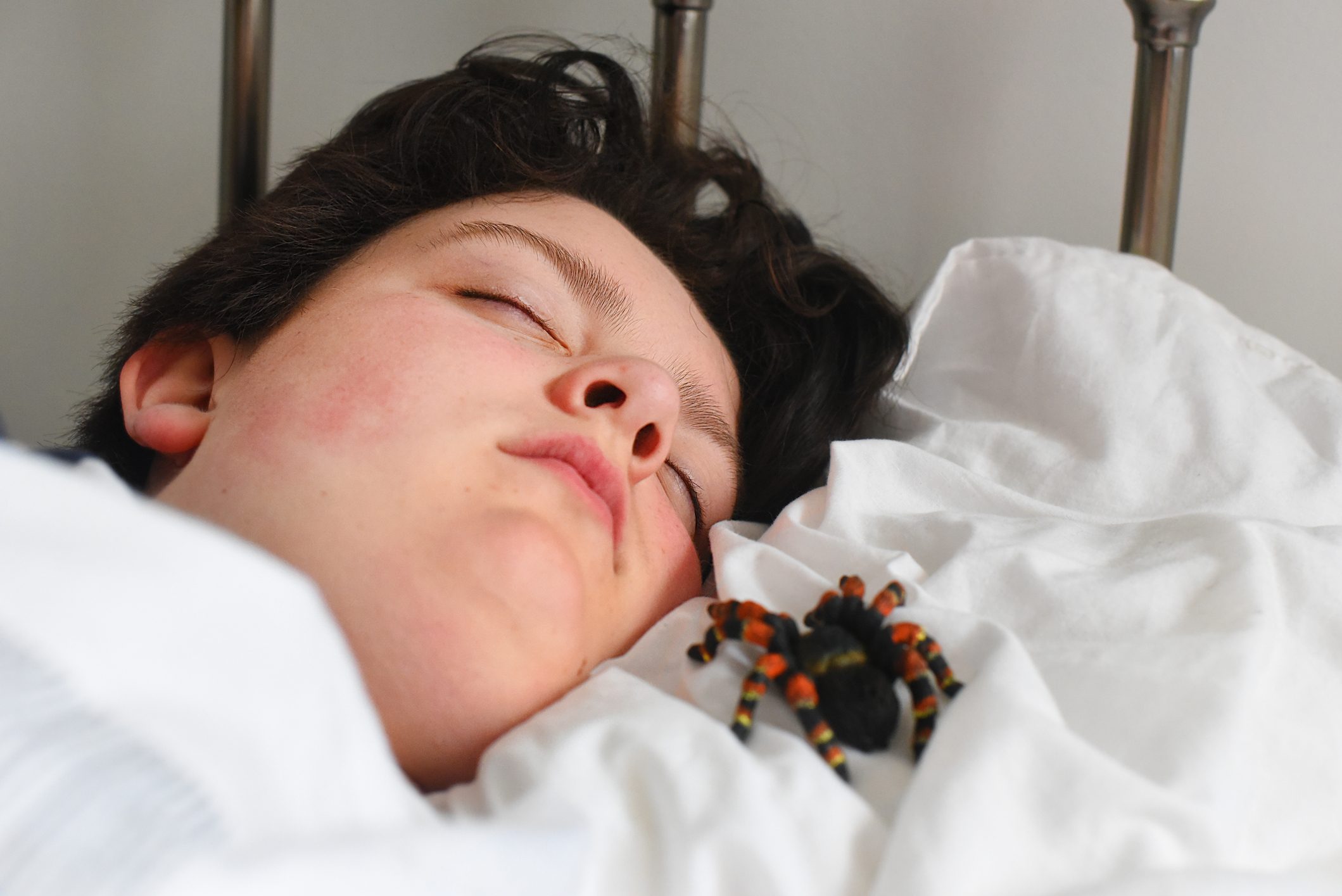 Person sleeps peacefully; spider rests on white pillow beside them.