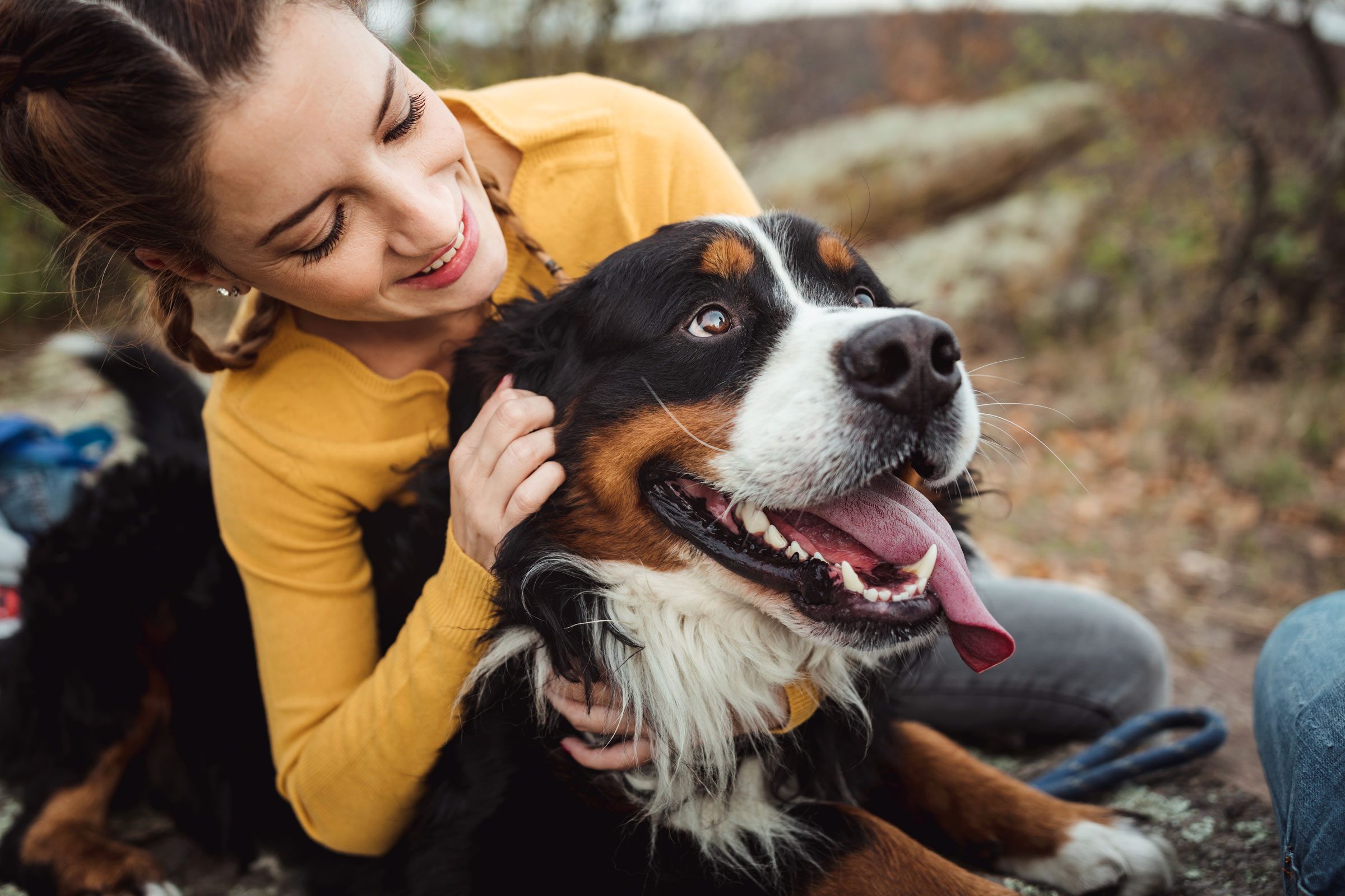 Dog being petted by a smiling person in a yellow sweater, outdoors with blurred foliage background.