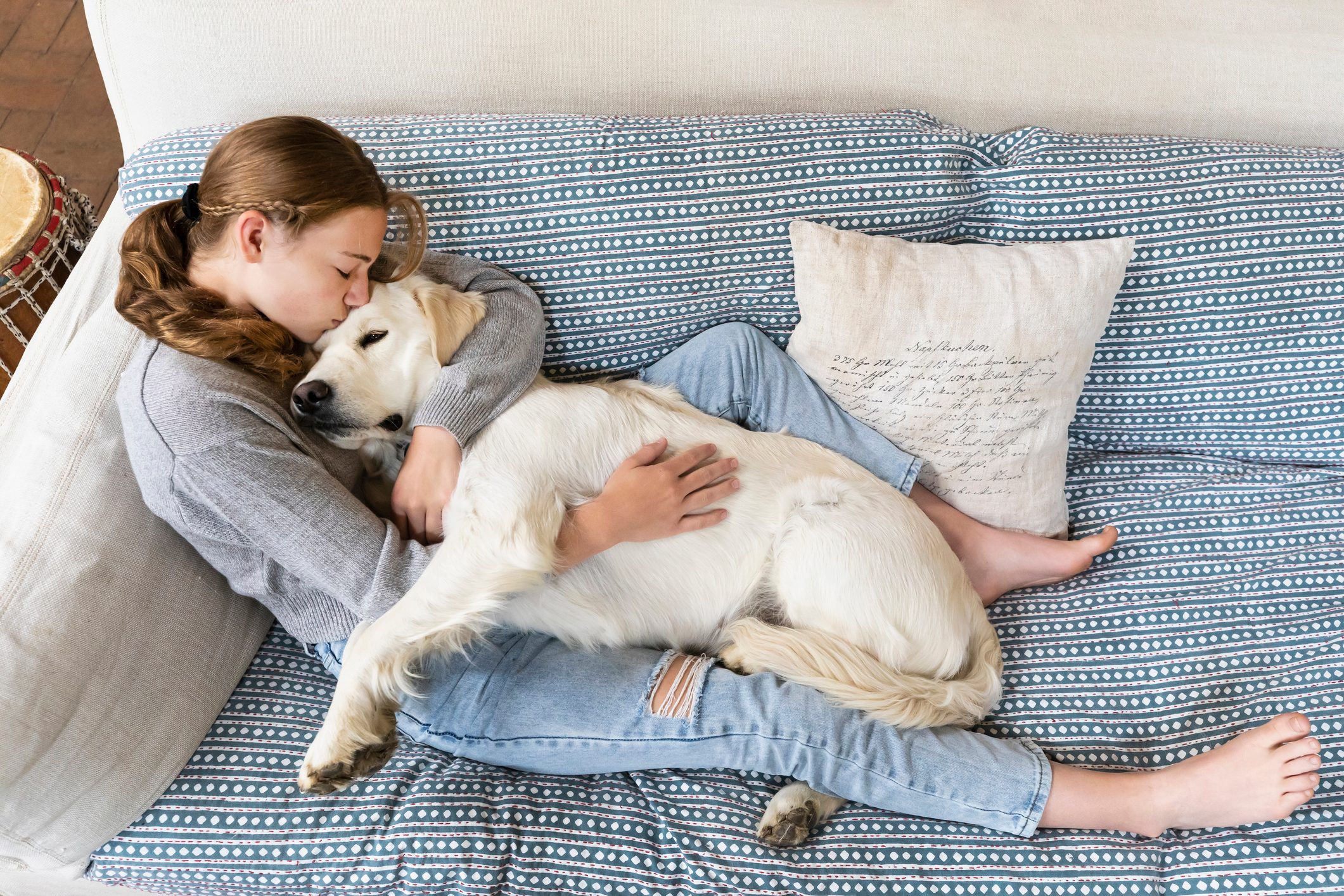 A person cuddles a sleeping dog on a patterned sofa with a decorative pillow beside them.