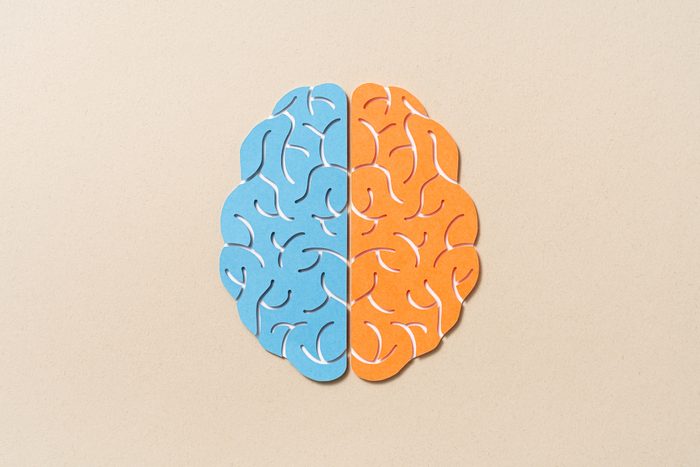 Left Brain Vs. Right Brain Paper Cut Craft